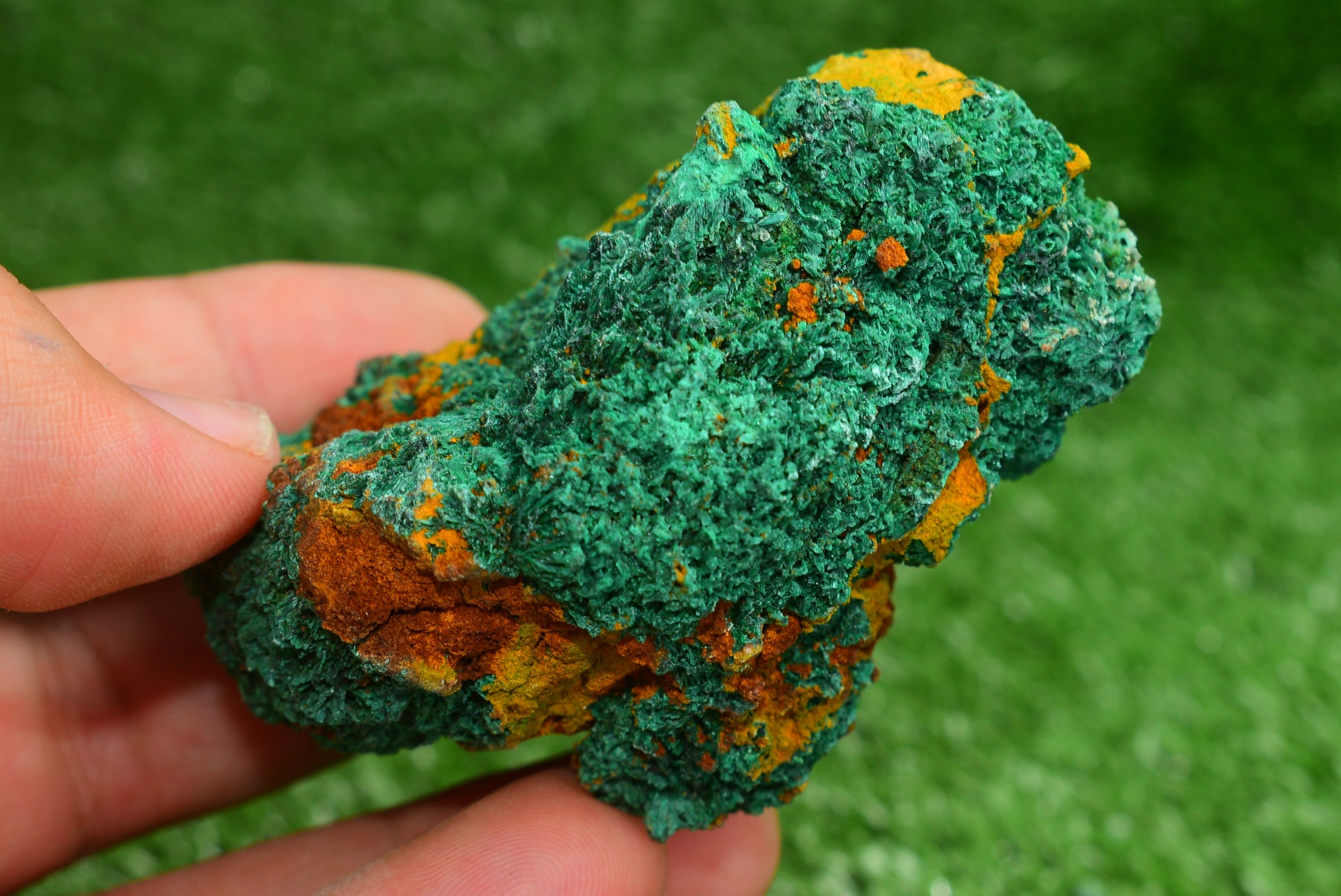 Malachite Crystal from Morocco - Freeform Cluster Shape, Natural and Genuine - MeteoriteNwa.com