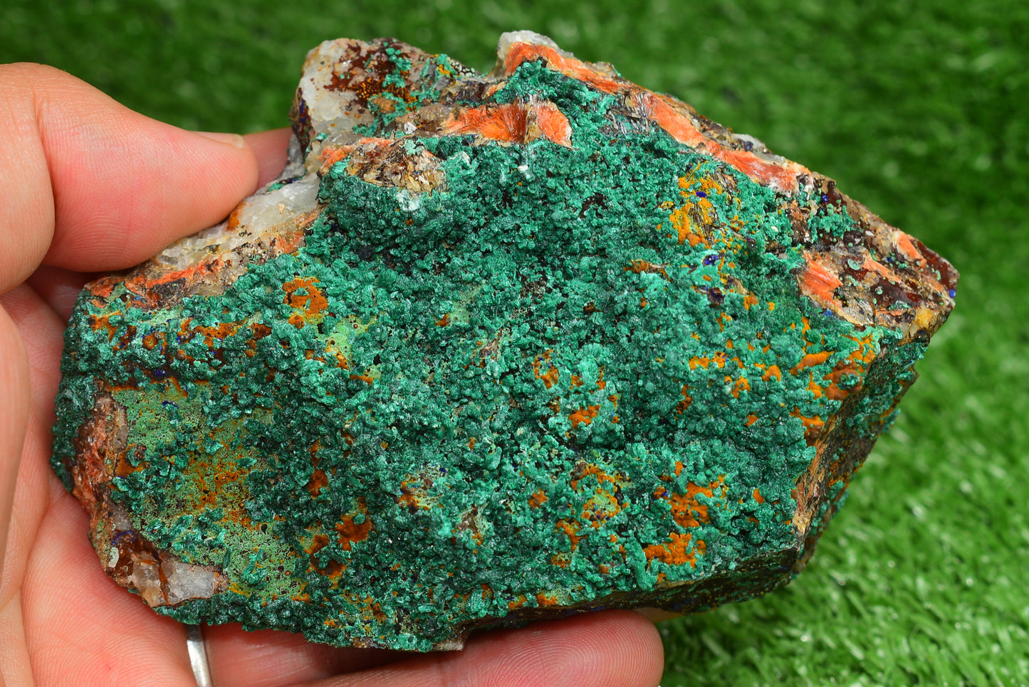 Azurite over Malachite Crystal from Morocco - Freeform Cluster Shape, Natural and Genuine - MeteoriteNwa.com