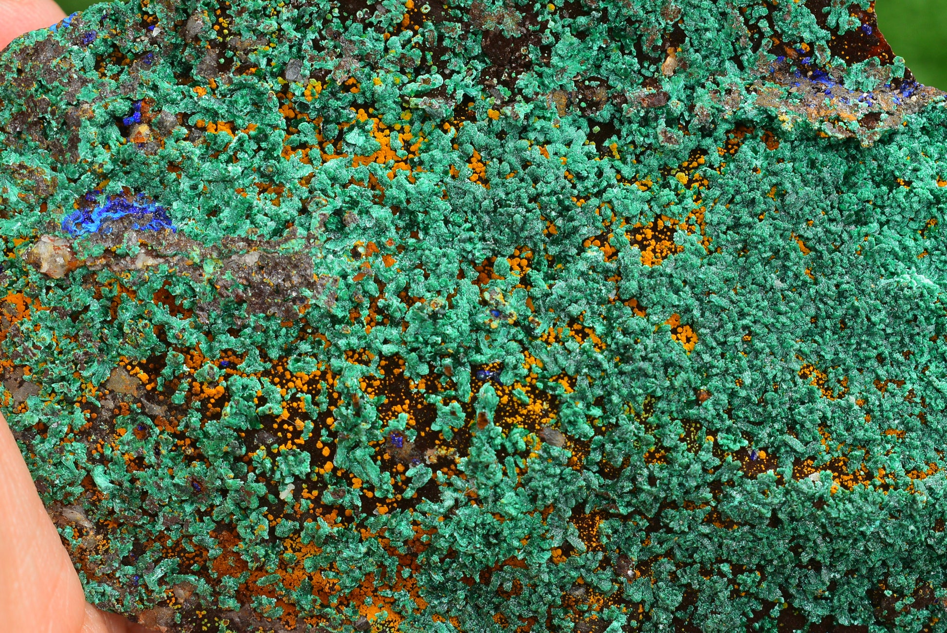 Azurite over Malachite Crystal from Morocco - Freeform Cluster Shape, Natural and Genuine - MeteoriteNwa.com