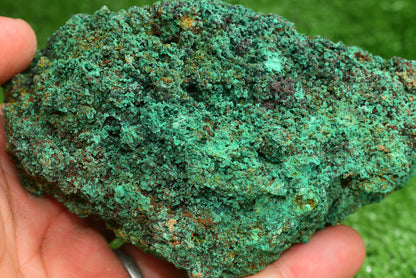 Azurite over Malachite Crystal from Morocco - Freeform Cluster Shape, Natural and Genuine - MeteoriteNwa.com