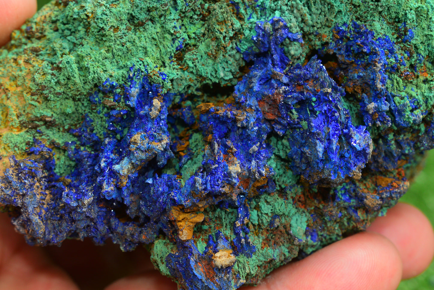 Azurite over Malachite Crystal from Morocco - Freeform Cluster Shape, Natural and Genuine - MeteoriteNwa.com