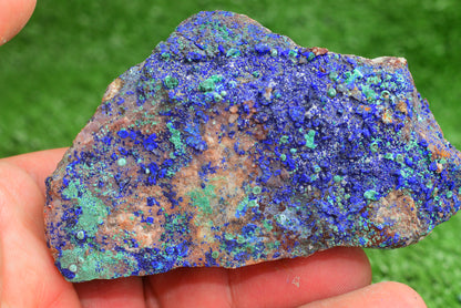 Azurite over Malachite Crystal from Morocco - Freeform Cluster Shape, Natural and Genuine - MeteoriteNwa.com