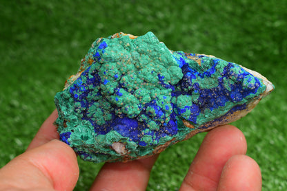 Azurite over Malachite Crystal from Morocco - Freeform Cluster Shape, Natural and Genuine - MeteoriteNwa.com