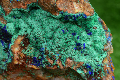 Azurite over Malachite Crystal from Morocco - Freeform Cluster Shape, Natural and Genuine - MeteoriteNwa.com