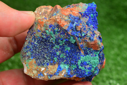 Azurite over Malachite Crystal from Morocco - Freeform Cluster Shape, Natural and Genuine - MeteoriteNwa.com