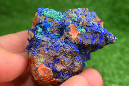 Azurite over Malachite Crystal from Morocco - Freeform Cluster Shape, Natural and Genuine - MeteoriteNwa.com