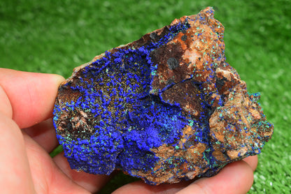 Azurite over Malachite Crystal from Morocco - Freeform Cluster Shape, Natural and Genuine - MeteoriteNwa.com