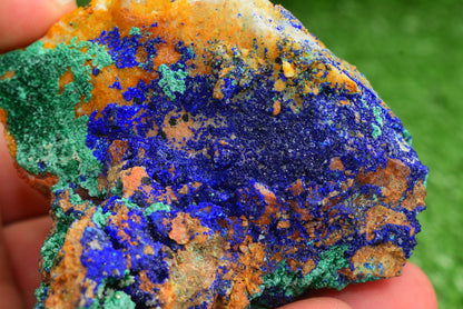Azurite over Malachite Crystal from Morocco - Freeform Cluster Shape, Natural and Genuine - MeteoriteNwa.com