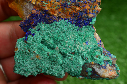 Azurite over Malachite Crystal from Morocco - Freeform Cluster Shape, Natural and Genuine - MeteoriteNwa.com