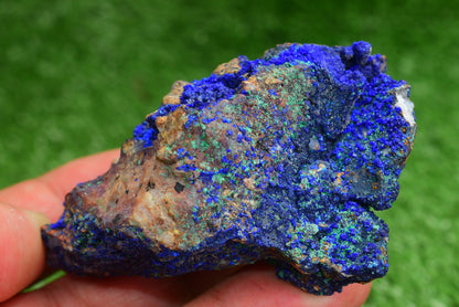 Azurite over Malachite Crystal from Morocco - Freeform Cluster Shape, Natural and Genuine - MeteoriteNwa.com