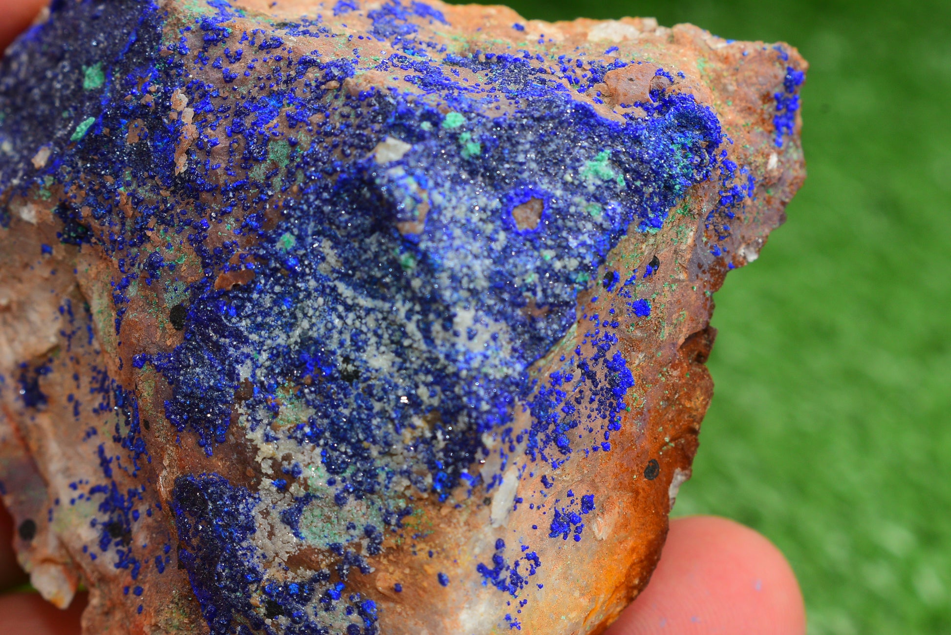 Azurite over Malachite Crystal from Morocco - Freeform Cluster Shape, Natural and Genuine - MeteoriteNwa.com
