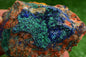 Azurite over Malachite Crystal from Morocco - Freeform Cluster Shape, Natural and Genuine - MeteoriteNwa.com