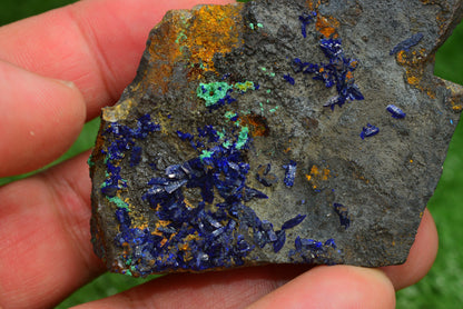 Azurite over Malachite Crystal from Morocco - Freeform Cluster Shape, Natural and Genuine - MeteoriteNwa.com