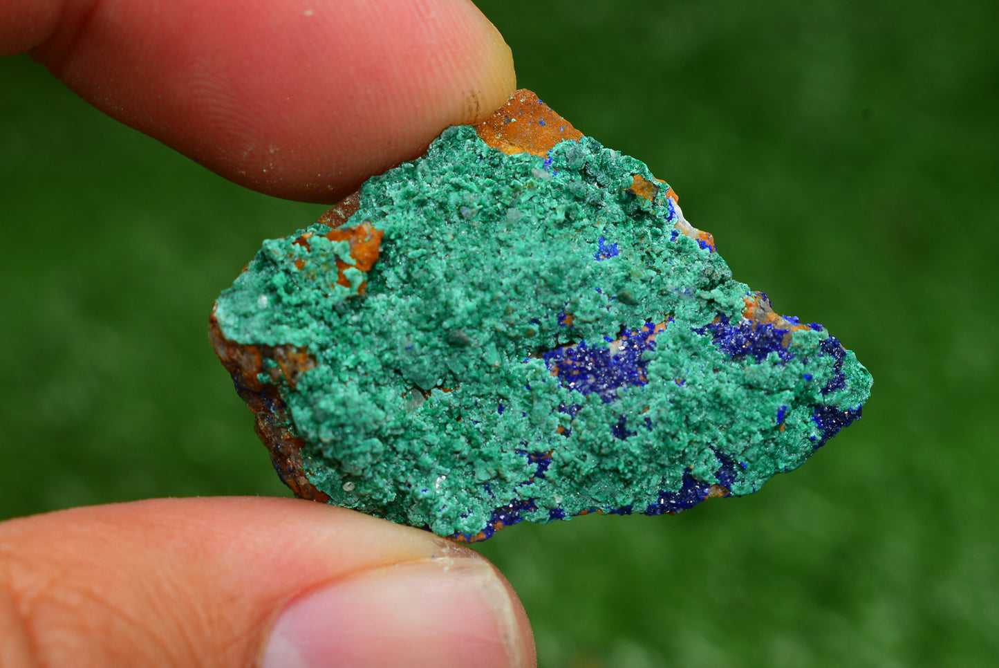 Azurite over Malachite Crystal from Morocco - Freeform Cluster Shape, Natural and Genuine - MeteoriteNwa.com