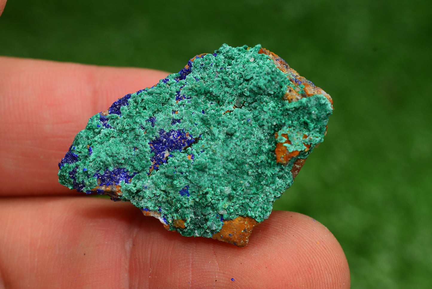 Azurite over Malachite Crystal from Morocco - Freeform Cluster Shape, Natural and Genuine - MeteoriteNwa.com