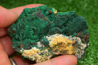 Malachite Crystal from Morocco - Freeform Cluster Shape, Natural and Genuine - MeteoriteNwa.com