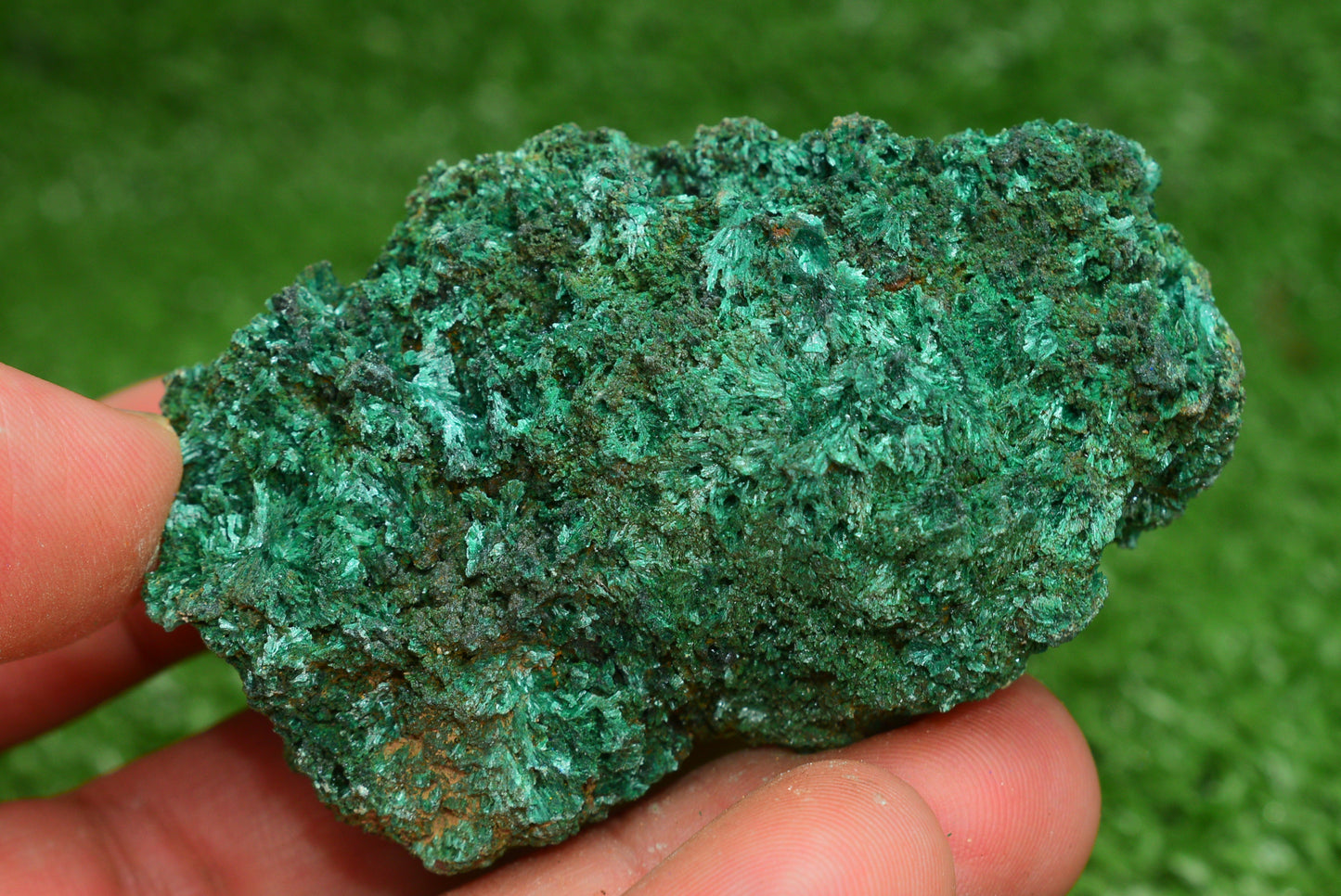 Malachite Crystal from Morocco - Freeform Cluster Shape, Natural and Genuine - MeteoriteNwa.com