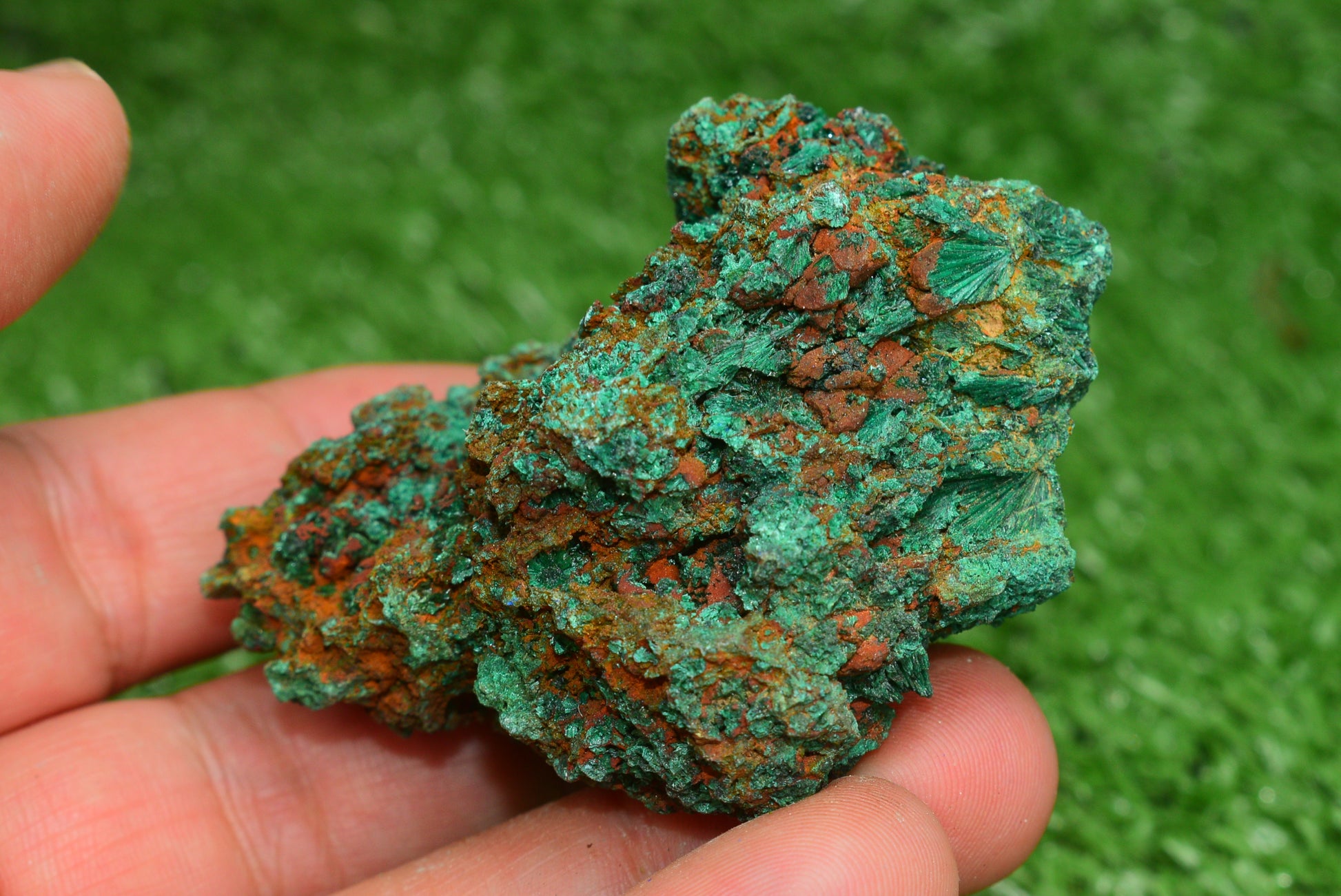Malachite Crystal from Morocco - Freeform Cluster Shape, Natural and Genuine - MeteoriteNwa.com