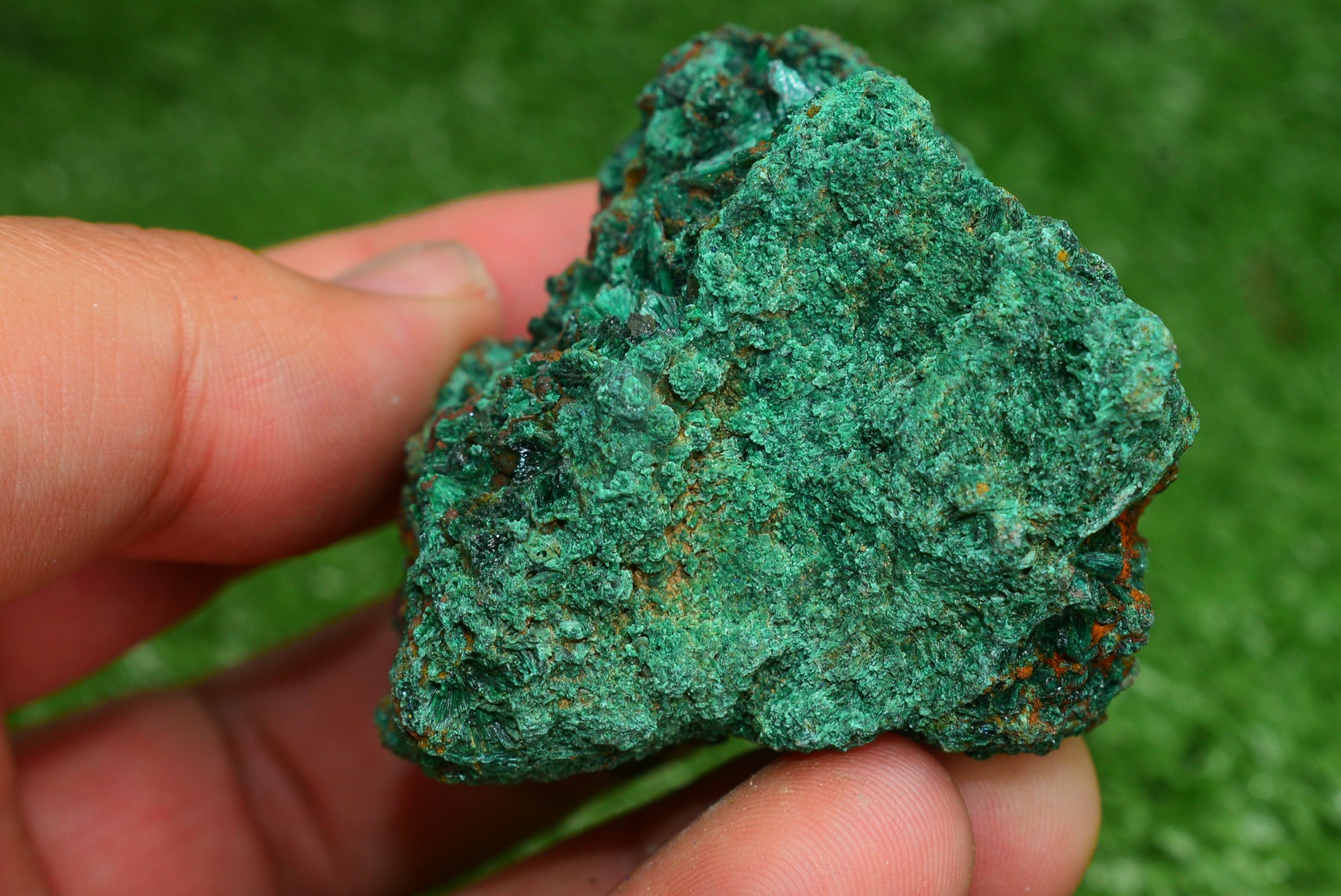 Malachite Crystal from Morocco - Freeform Cluster Shape, Natural and Genuine - MeteoriteNwa.com