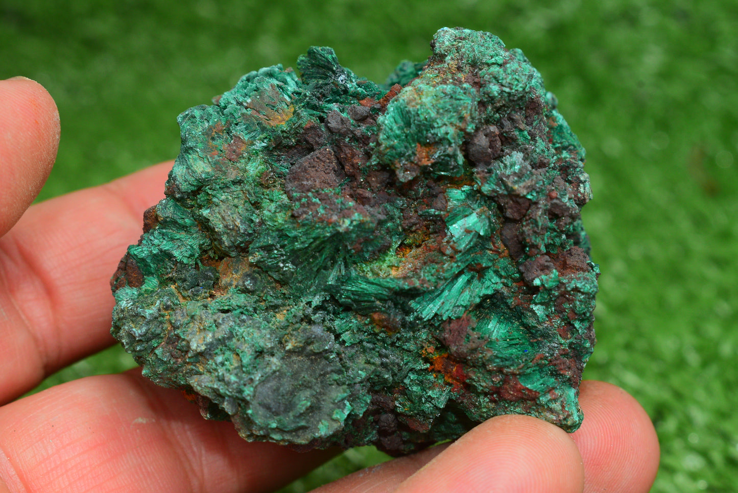 Malachite Crystal from Morocco - Freeform Cluster Shape, Natural and Genuine - MeteoriteNwa.com