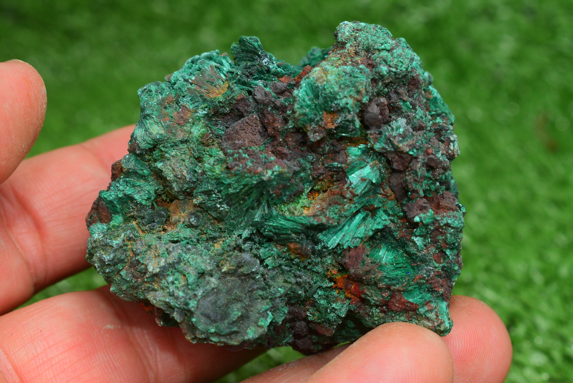 Malachite Crystal from Morocco - Freeform Cluster Shape, Natural and Genuine - MeteoriteNwa.com