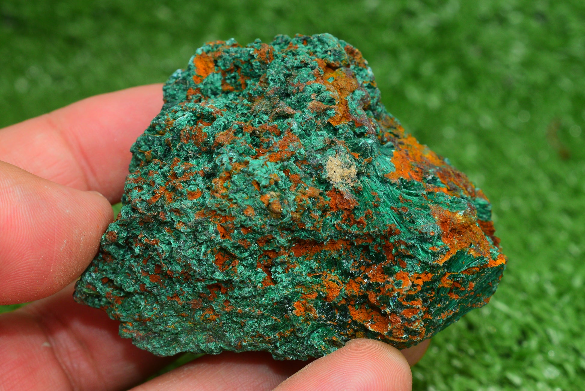 Malachite Crystal from Morocco - Freeform Cluster Shape, Natural and Genuine - MeteoriteNwa.com