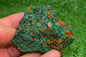 Malachite Crystal from Morocco - Freeform Cluster Shape, Natural and Genuine - MeteoriteNwa.com
