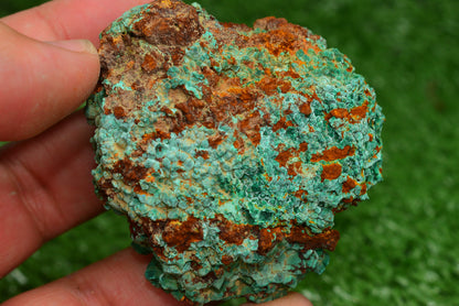 Malachite Crystal from Morocco - Freeform Cluster Shape, Natural and Genuine - MeteoriteNwa.com