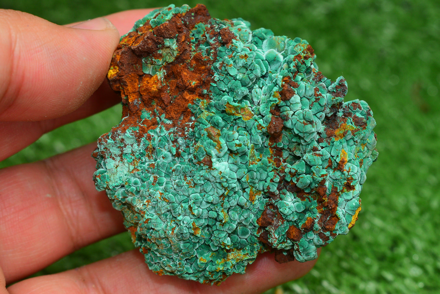 Malachite Crystal from Morocco - Freeform Cluster Shape, Natural and Genuine - MeteoriteNwa.com