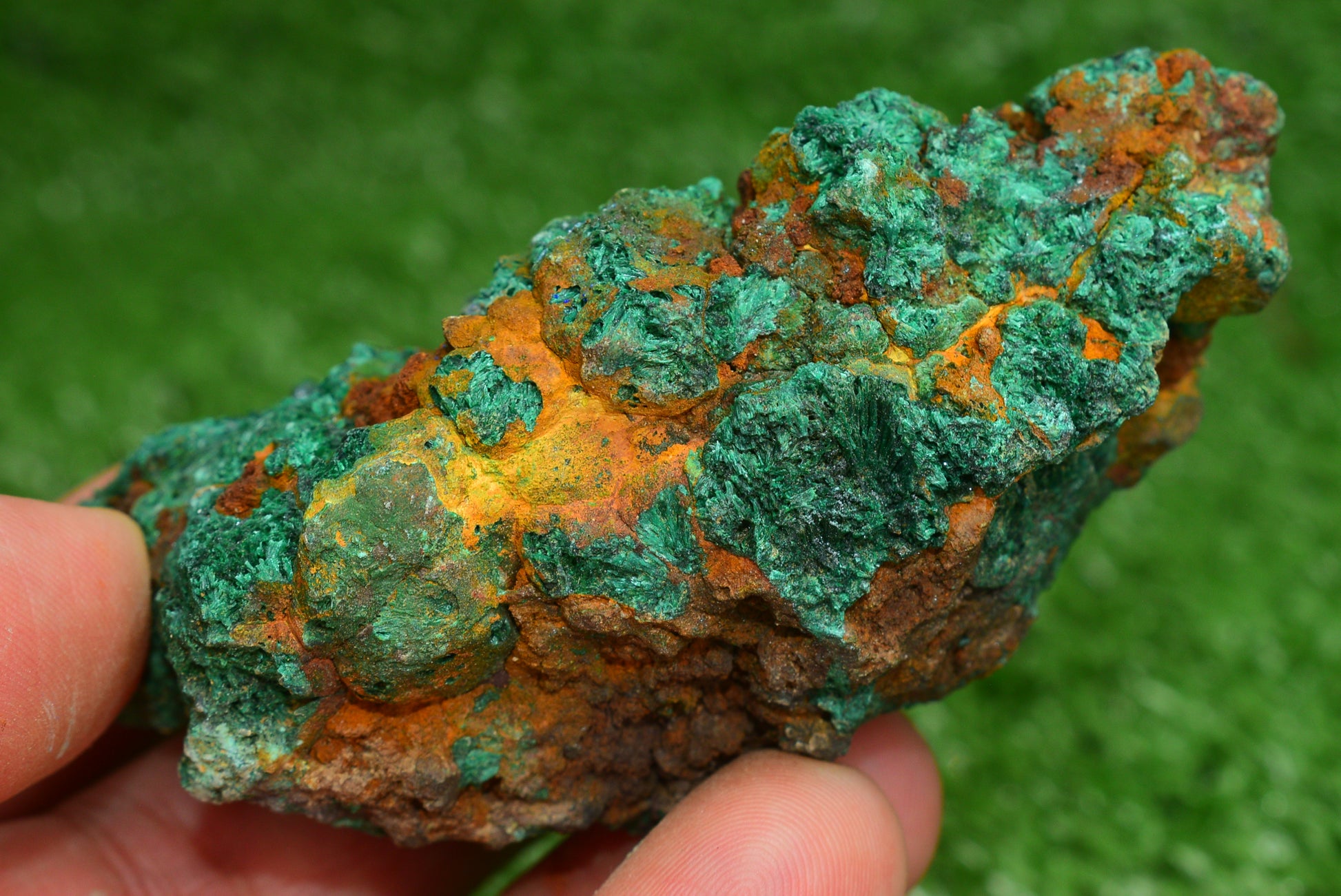 Malachite Crystal from Morocco - Freeform Cluster Shape, Natural and Genuine - MeteoriteNwa.com