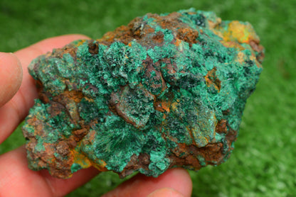 Malachite Crystal from Morocco - Freeform Cluster Shape, Natural and Genuine - MeteoriteNwa.com