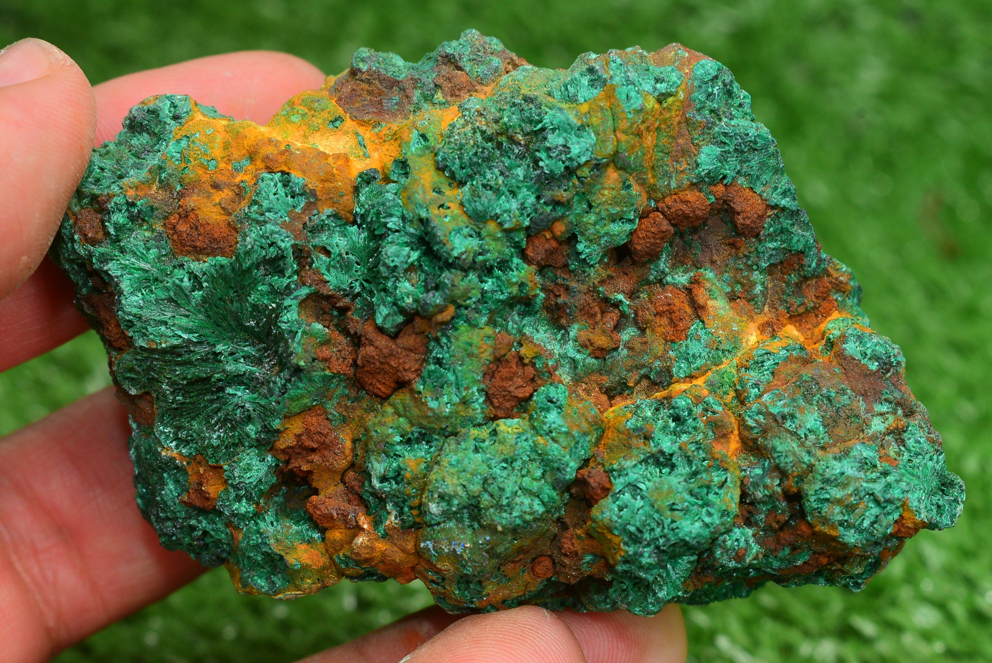 Malachite Crystal from Morocco - Freeform Cluster Shape, Natural and Genuine - MeteoriteNwa.com