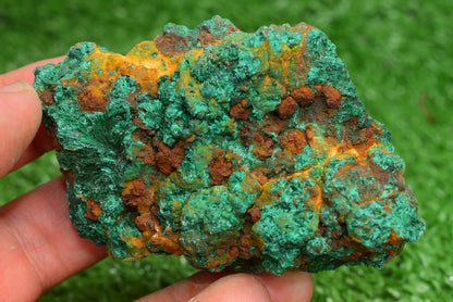 Malachite Crystal from Morocco - Freeform Cluster Shape, Natural and Genuine - MeteoriteNwa.com