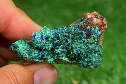 Azurite over Malachite Crystal from Morocco - Freeform Cluster Shape, Natural and Genuine - MeteoriteNwa.com