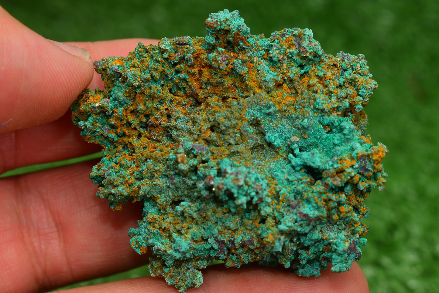 Azurite over Malachite Crystal from Morocco - Freeform Cluster Shape, Natural and Genuine - MeteoriteNwa.com