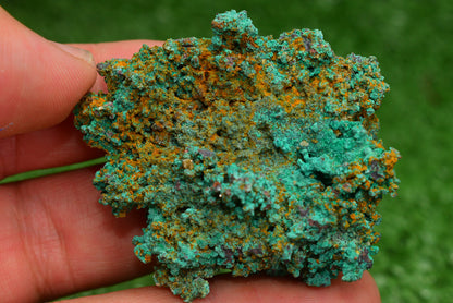 Azurite over Malachite Crystal from Morocco - Freeform Cluster Shape, Natural and Genuine - MeteoriteNwa.com