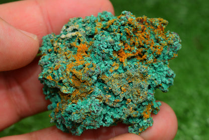 Azurite over Malachite Crystal from Morocco - Freeform Cluster Shape, Natural and Genuine - MeteoriteNwa.com