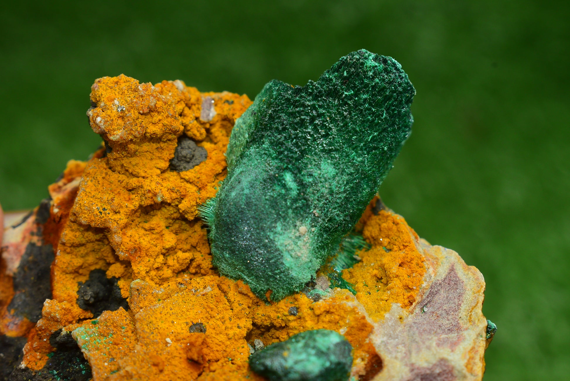 Stunning Fibrous Malachite Crystal from Morocco Genuine and Natural, Freeform Cluster Shape - Perfect for Collectors and Healers - MeteoriteNwa.com