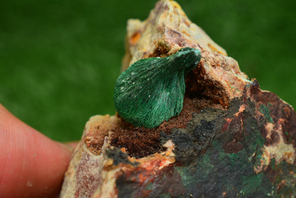 Stunning Fibrous Malachite Crystal from Morocco Genuine and Natural, Freeform Cluster Shape - Perfect for Collectors and Healers - MeteoriteNwa.com