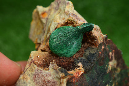 Stunning Fibrous Malachite Crystal from Morocco Genuine and Natural, Freeform Cluster Shape - Perfect for Collectors and Healers - MeteoriteNwa.com