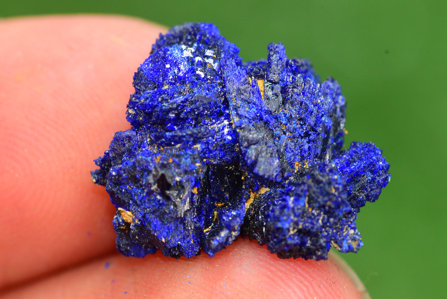 Azurite Crystal from Morocco - Freeform Cluster Shape, Natural and Genuine - MeteoriteNwa.com
