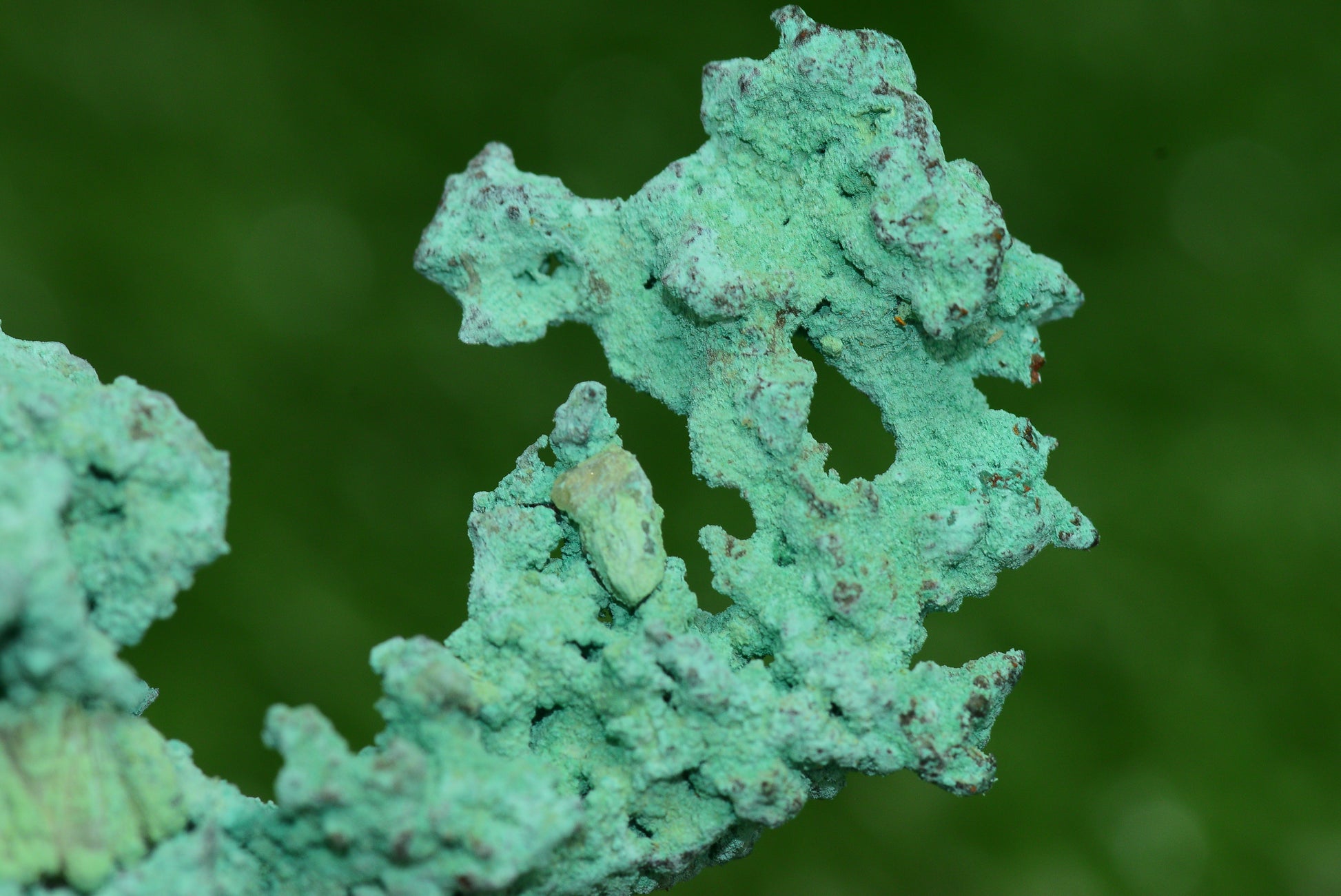 Raw Native Copper Nugget Natural Rough Green Mineral Specimen from Morocco Healing Stone - MeteoriteNwa.com