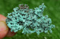 Raw Native Copper Nugget Natural Rough Green Mineral Specimen from Morocco Healing Stone - MeteoriteNwa.com