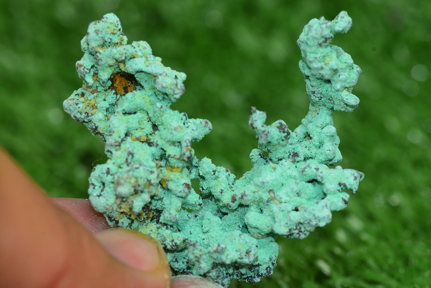 Raw Native Copper Nugget Natural Rough Green Mineral Specimen from Morocco Healing Stone - MeteoriteNwa.com