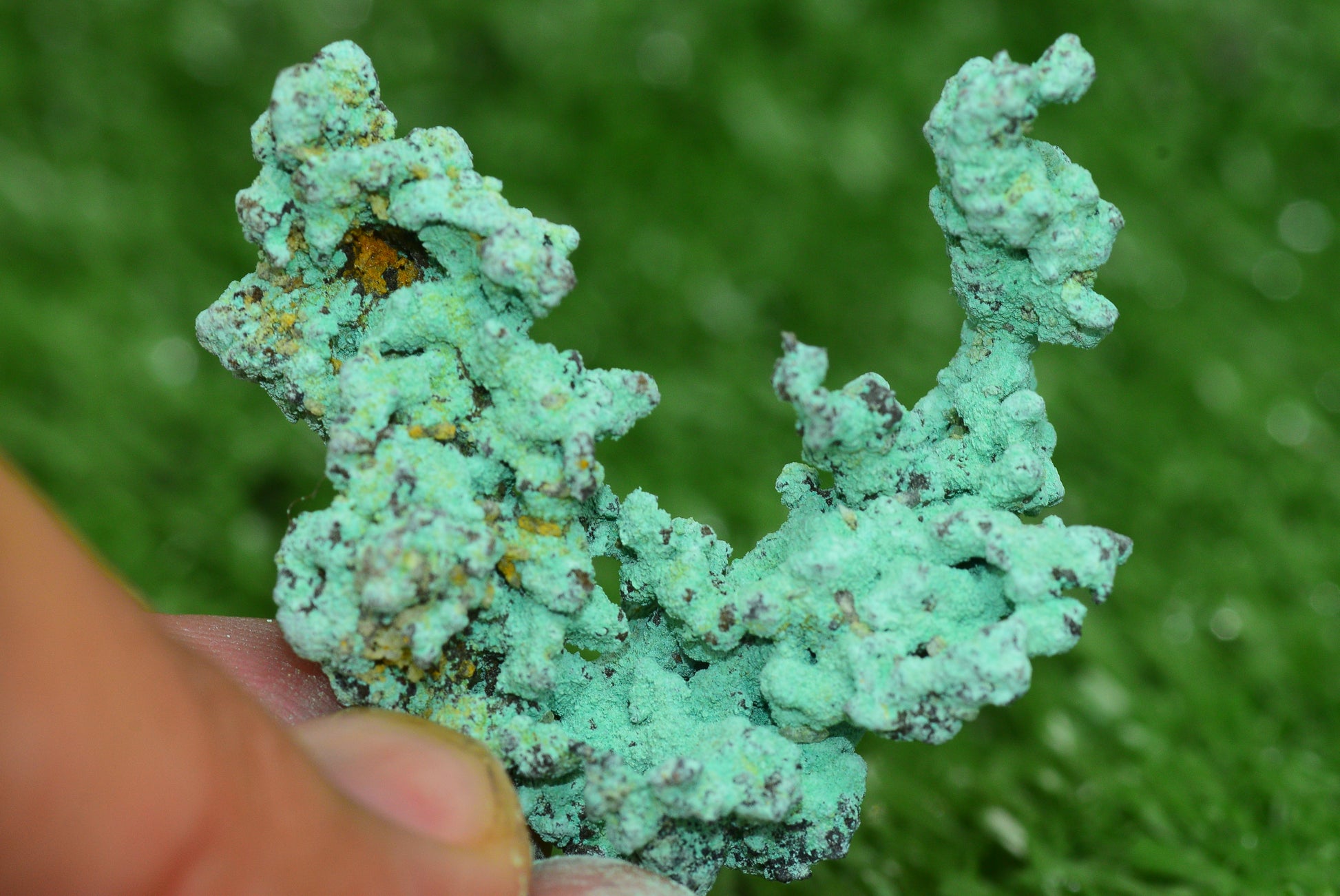 Raw Native Copper Nugget Natural Rough Green Mineral Specimen from Morocco Healing Stone - MeteoriteNwa.com