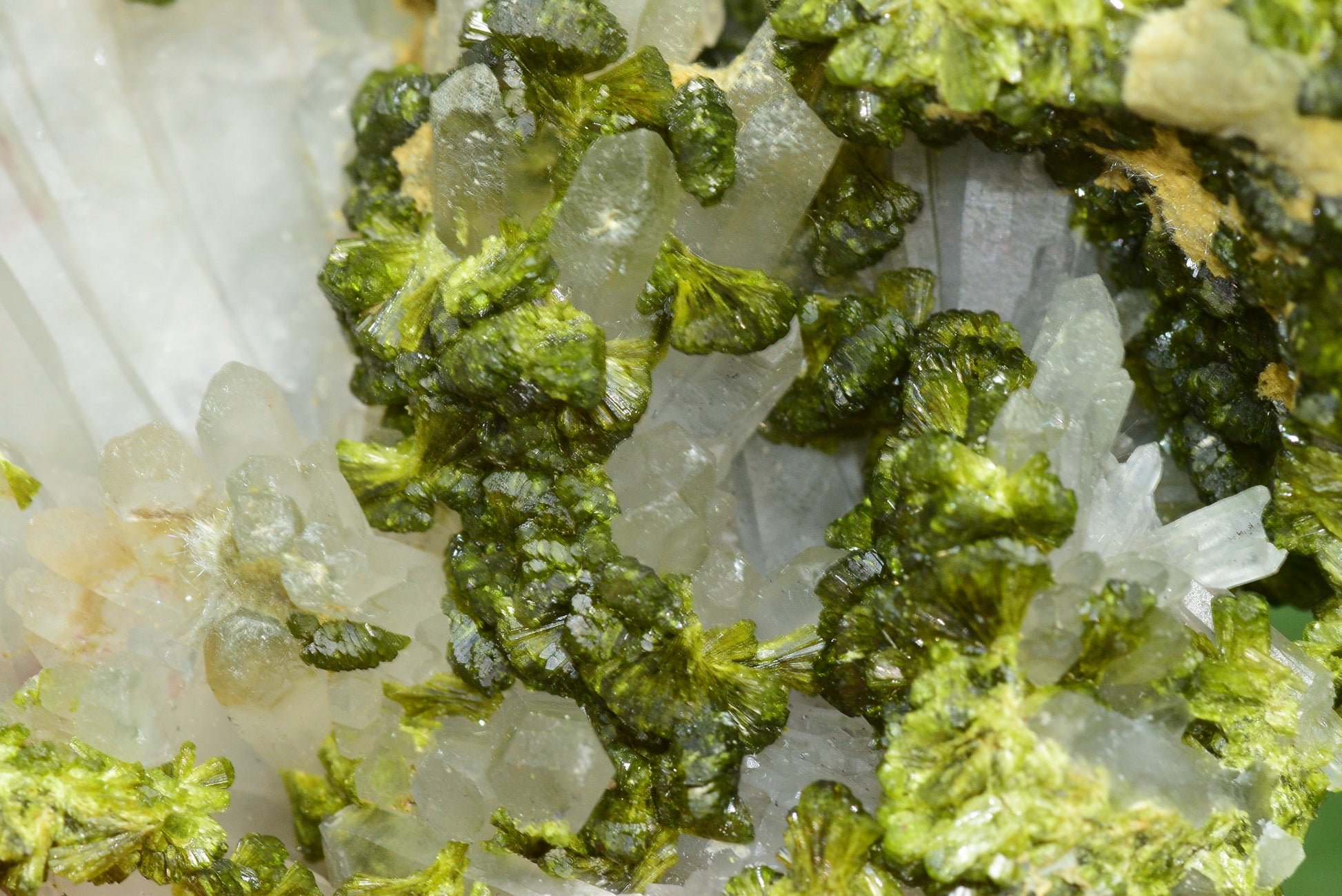 Stunning Epidote in Quartz Cluster from Imilchil, Morocco - A Unique Piece - MeteoriteNwa.com