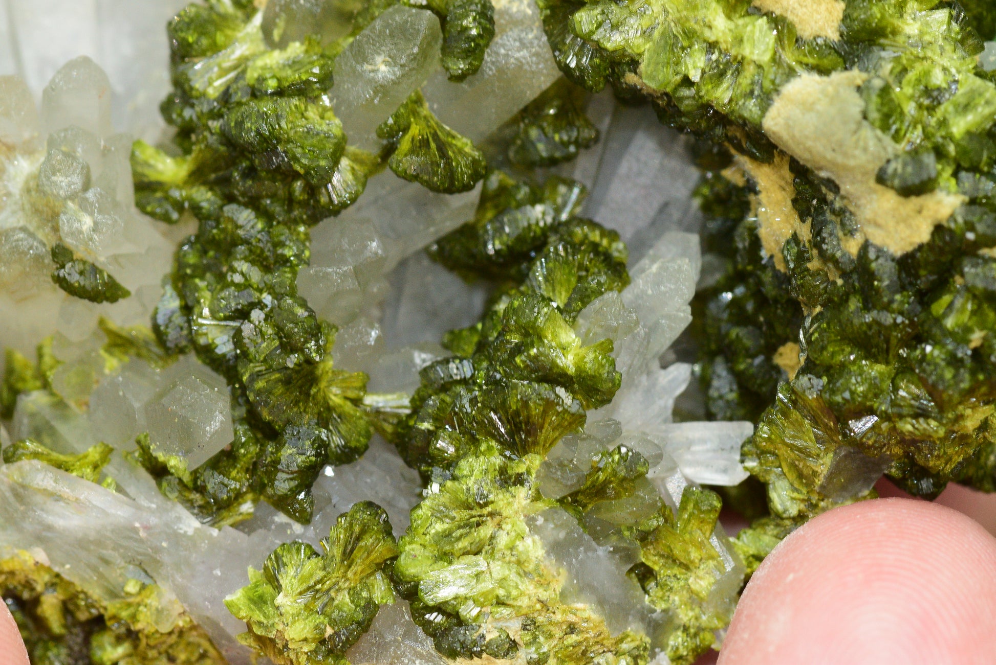 Stunning Epidote in Quartz Cluster from Imilchil, Morocco - A Unique Piece - MeteoriteNwa.com
