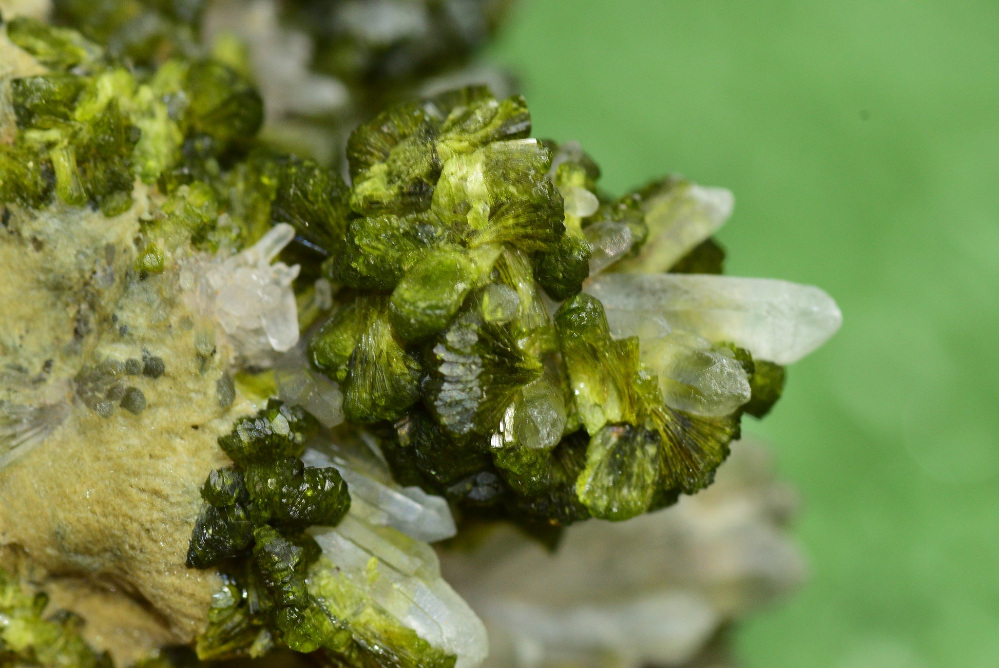 Stunning Epidote in Quartz Cluster from Imilchil, Morocco - A Unique Piece - MeteoriteNwa.com