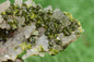 Stunning Epidote in Quartz Cluster from Imilchil, Morocco - A Unique Piece - MeteoriteNwa.com