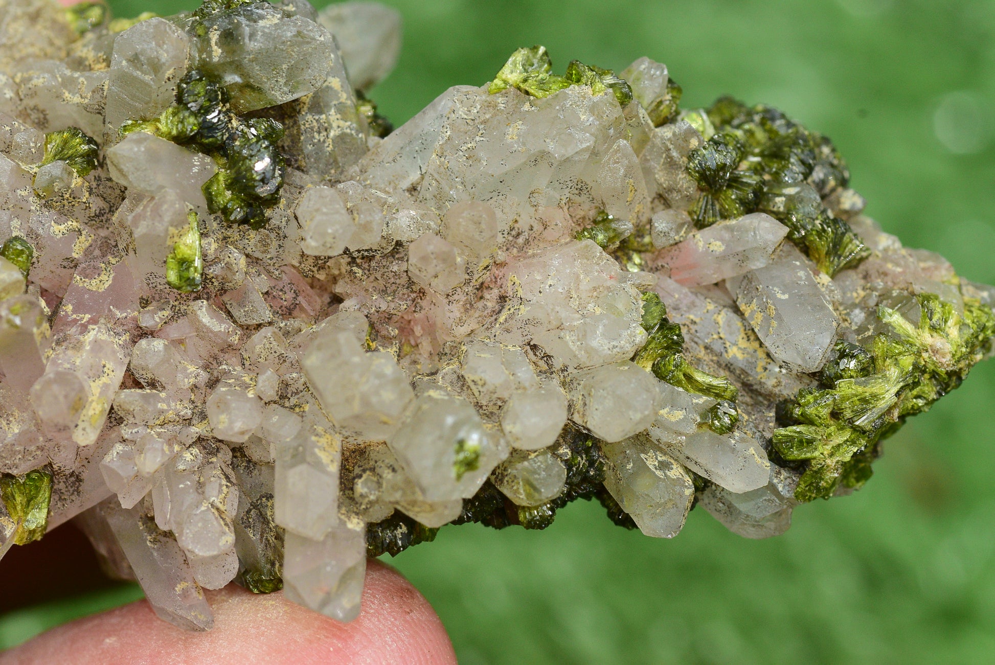 Stunning Epidote in Quartz Cluster from Imilchil, Morocco - A Unique Piece - MeteoriteNwa.com